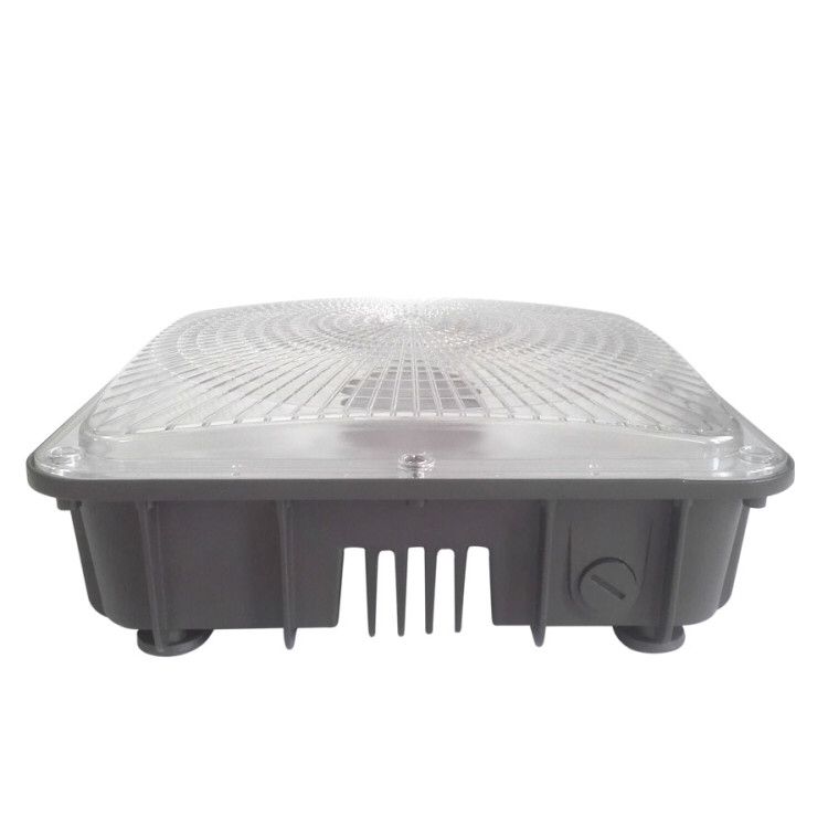 LED Canopy Light