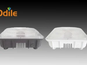LED Canopy Light